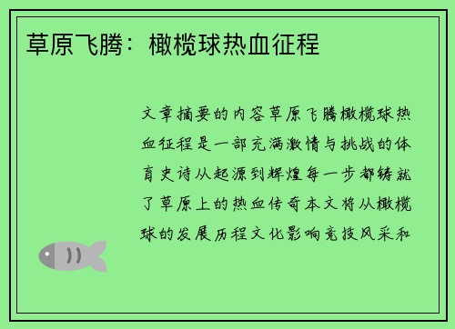 草原飞腾：橄榄球热血征程